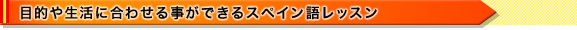 目的や生活に合わせる事ができるスペイン語レッスン